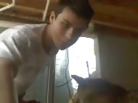 Dog giving blowjob to young man
