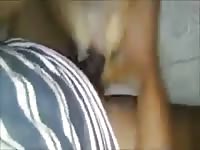 Dog getting smashed by his pet porn owner