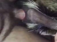 Messy amateur dog sex with man whore