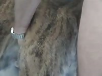 Hot dog sex with anal fucker gay