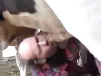 Farmer getting fucked by animal xxx