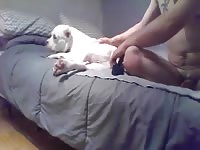 White dog xxx getting fucked by man