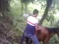 Horse and human sex caught on cam