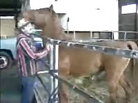 Horse xxx fucks his cowboy