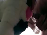 Big dicked guy has sex with a dog