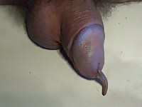 Worm escapes out man's dick insect porn