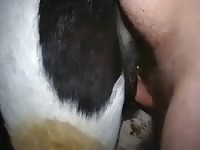 Pervert man playing with his animal dildo