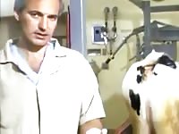 Beastiality lover doctor playing with dog's pussy
