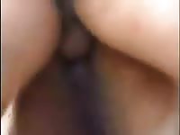 Cowboy fucks his pet porn horse