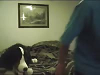 Teen guy rides his animal sex toy