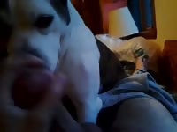 Dog deepthroating a pervert slut dick