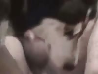 Homemade dog sex with naked gay