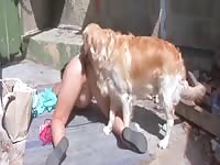 Public dog sex with homeless lady