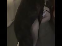 K9 fucks hot teen from behind