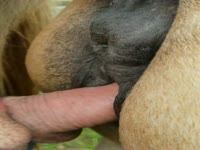 Search Results on AnnaTube for: sextoy incest porn Page 34