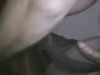 Beastiality Movie - Man having sex with a dog anal