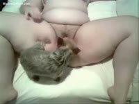 Zoophilia whore got her pussu licked by a cat