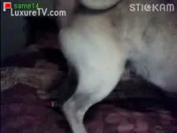 Hardcore Porn Video - Webcam Porn - AnnaTube Page 41