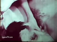 Hot zoophilia bitch force her dog to fuck her