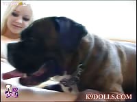 K9Dolls - Dog licking a blonde's pussy