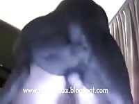 Zoophilia dog smashes her pet owner