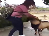 Beastiality babe gets molested by a goat
