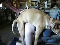 Humping turns to dog sex with a teen