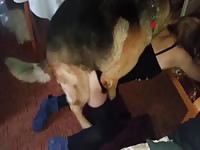 Wet pussy gets fucked by canine's sloppy dick