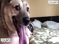 Art of Zoo - Horny dog xxx gets deepthroated by her pet owner